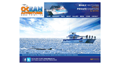 Desktop Screenshot of ococeanadventures.com